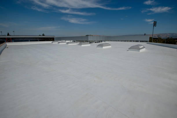 Best Cold Roofs  in Clarkson, KY