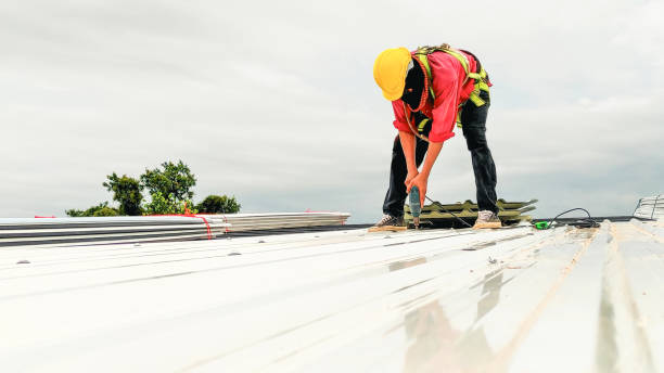 Best Steel Roofing  in Clarkson, KY